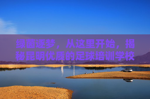 绿茵逐梦，从这里开始，揭秘昆明优质的足球培训学校与成长之路