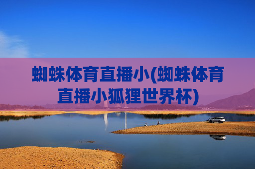 蜘蛛体育直播小(蜘蛛体育直播小狐狸世界杯)