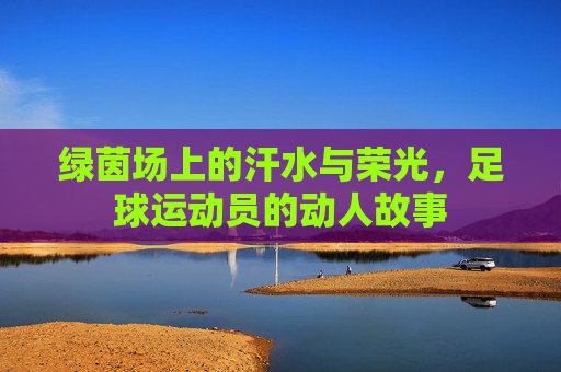 绿茵场上的汗水与荣光，足球运动员的动人故事
