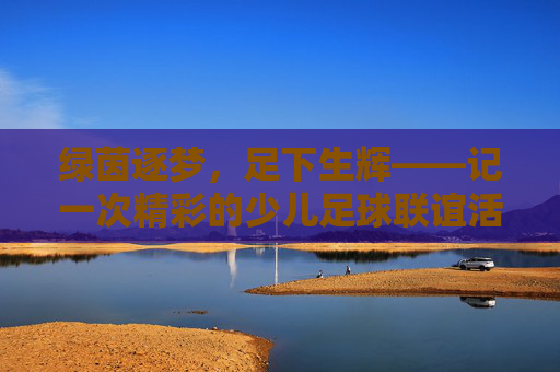 绿茵逐梦，足下生辉——记一次精彩的少儿足球联谊活动