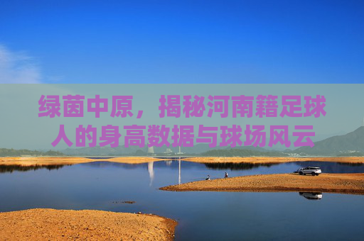 绿茵中原，揭秘河南籍足球人的身高数据与球场风云