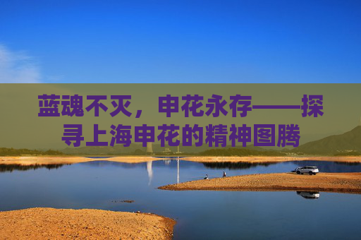 蓝魂不灭，申花永存——探寻上海申花的精神图腾