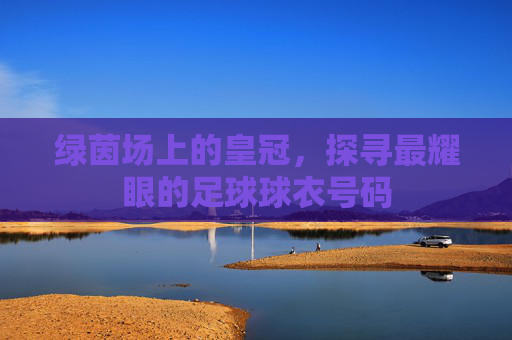 绿茵场上的皇冠，探寻最耀眼的足球球衣号码