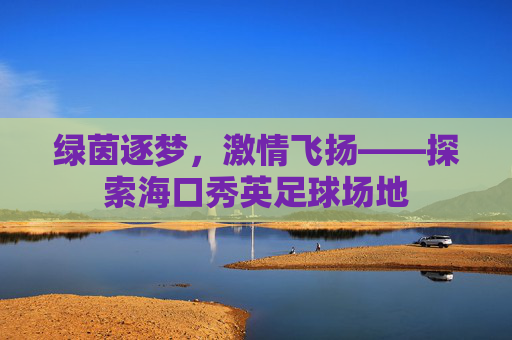 绿茵逐梦，激情飞扬——探索海口秀英足球场地