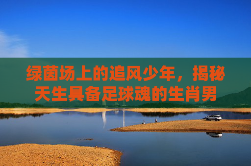 绿茵场上的追风少年,揭秘天生具备足球魂的生肖男