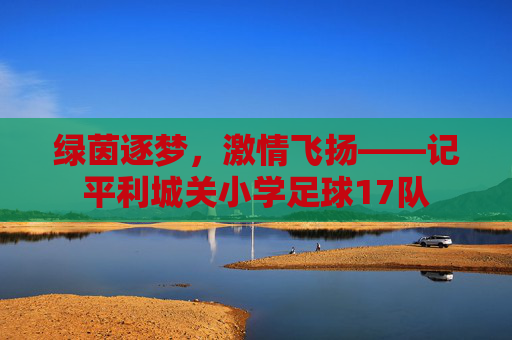 绿茵逐梦，激情飞扬——记平利城关小学足球17队