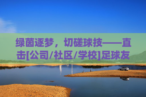绿茵逐梦，切磋球技——直击[公司/社区/学校]足球友谊赛现场