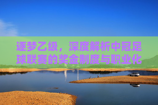 逐梦乙级，深度解析中冠足球联赛的奖金制度与职业化动力