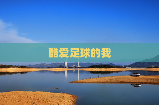 酷爱足球的我