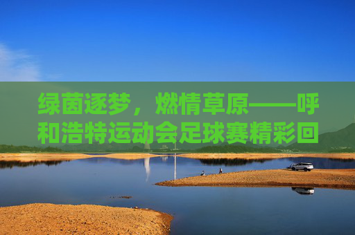 绿茵逐梦，燃情草原——呼和浩特运动会足球赛精彩回顾