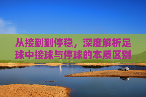 从接到到停稳，深度解析足球中接球与停球的本质区别