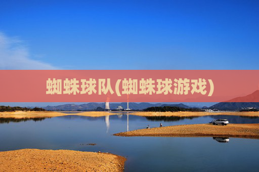 蜘蛛球队(蜘蛛球游戏)