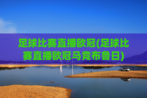 足球比赛直播欧冠(足球比赛直播欧冠马竞布鲁日)