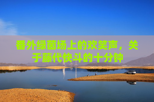 番外绿茵场上的欢笑声，关于藤代快斗的十分钟