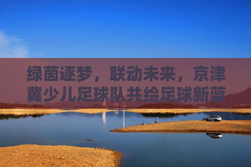 绿茵逐梦,联动未来,京津冀少儿足球队共绘足球新蓝图
