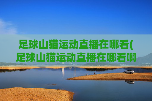足球山猫运动直播在哪看(足球山猫运动直播在哪看啊)
