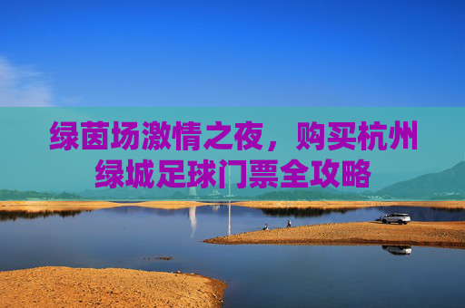 绿茵场激情之夜，购买杭州绿城足球门票全攻略