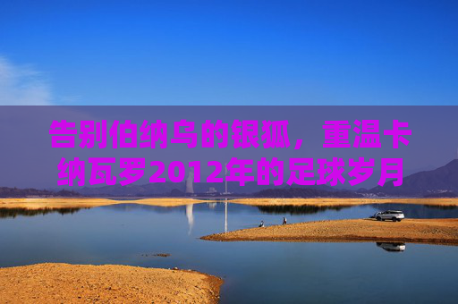 告别伯纳乌的银狐，重温卡纳瓦罗2012年的足球岁月