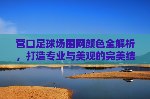 营口足球场围网颜色全解析，打造专业与美观的完美结合