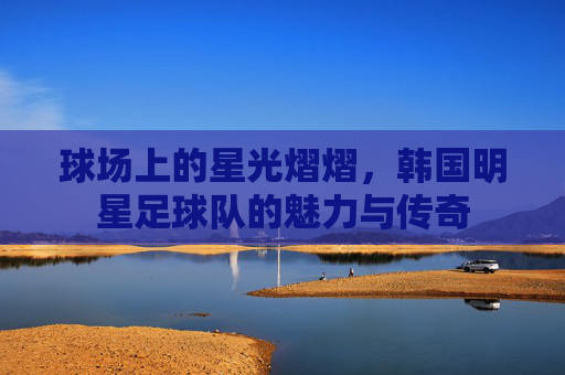 球场上的星光熠熠，韩国明星足球队的魅力与传奇