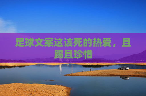 足球文案这该死的热爱，且踢且珍惜