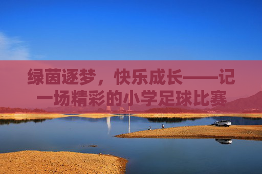 绿茵逐梦,快乐成长——记一场精彩的小学足球比赛