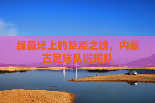 绿茵场上的草原之魂，内蒙古足球队啦啦队