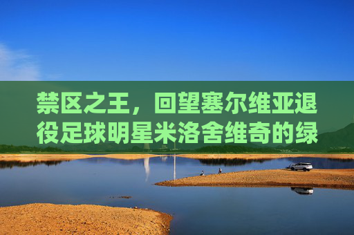 禁区之王，回望塞尔维亚退役足球明星米洛舍维奇的绿茵传奇