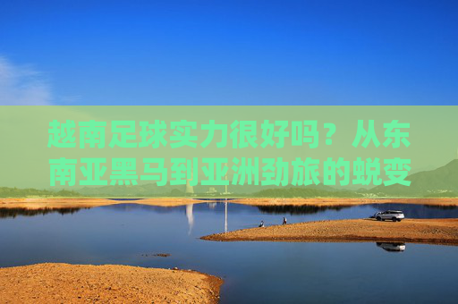 越南足球实力很好吗？从东南亚黑马到亚洲劲旅的蜕变与局限