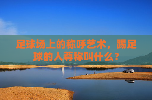 足球场上的称呼艺术，踢足球的人尊称叫什么？