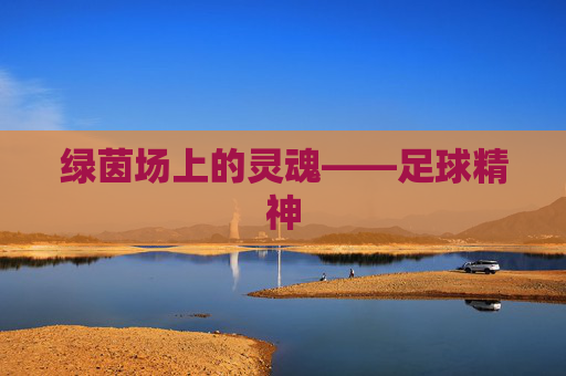 绿茵场上的灵魂——足球精神