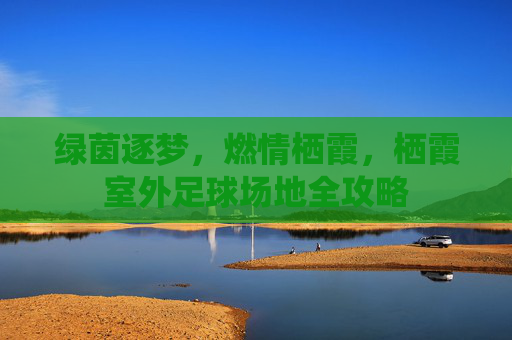 绿茵逐梦，燃情栖霞，栖霞室外足球场地全攻略