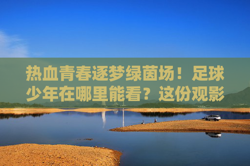 热血青春逐梦绿茵场！足球少年在哪里能看？这份观影指南请收好