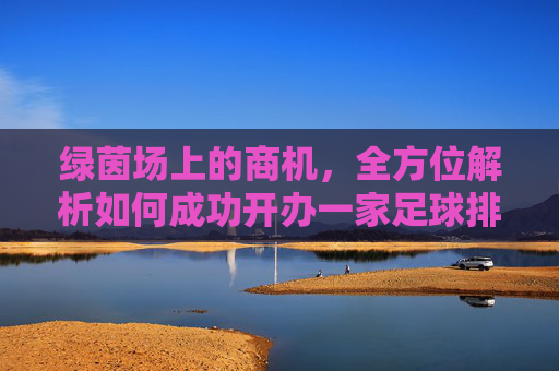 绿茵场上的商机，全方位解析如何成功开办一家足球排球厂