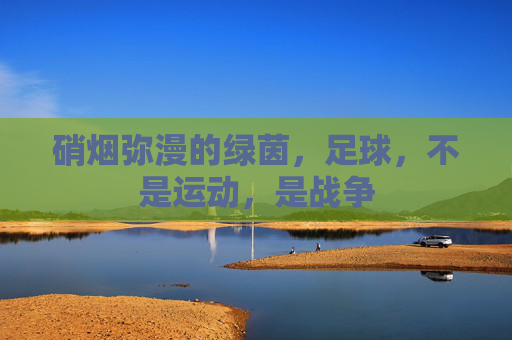 硝烟弥漫的绿茵,足球,不是运动,是战争