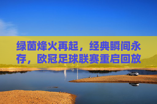 绿茵烽火再起,经典瞬间永存,欧冠足球联赛重启回放全解析