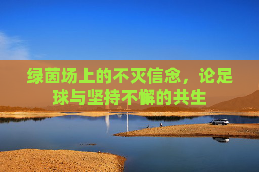 绿茵场上的不灭信念,论足球与坚持不懈的共生