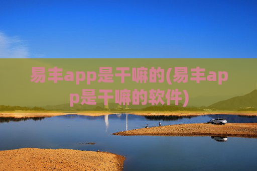 易丰app是干嘛的(易丰app是干嘛的软件)