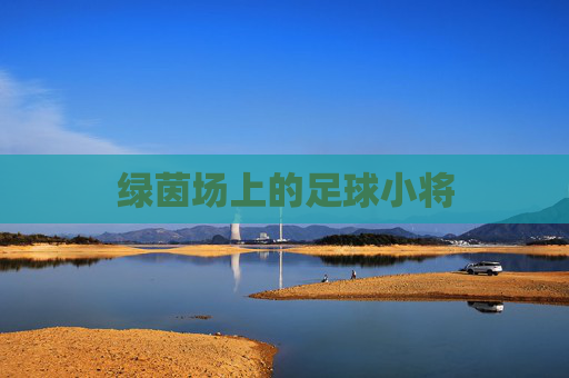 绿茵场上的足球小将