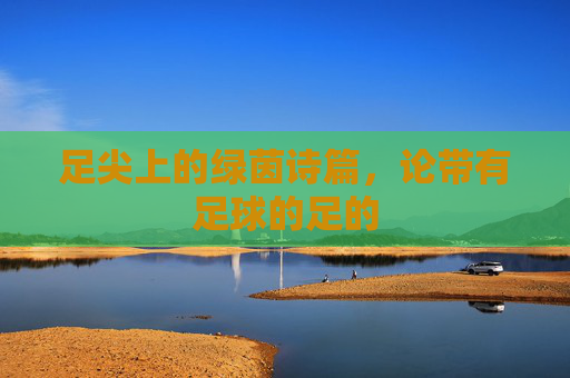 足尖上的绿茵诗篇，论带有足球的足的