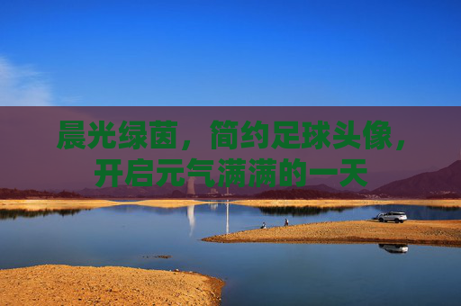 晨光绿茵，简约足球头像，开启元气满满的一天