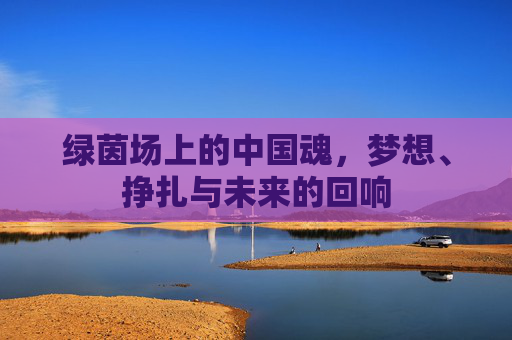 绿茵场上的中国魂，梦想、挣扎与未来的回响