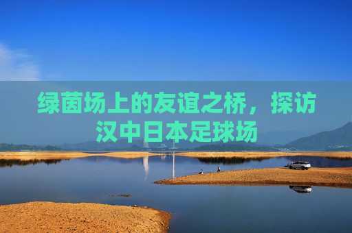 绿茵场上的友谊之桥,探访汉中日本足球场