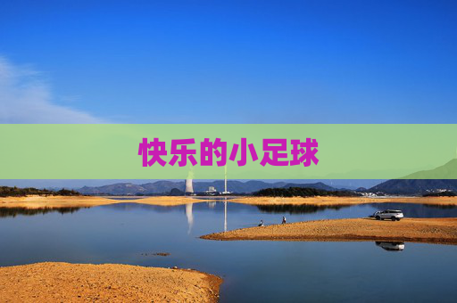 快乐的小足球