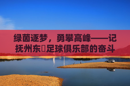 绿茵逐梦，勇攀高峰——记抚州东昇足球俱乐部的奋斗与荣耀