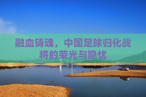融血铸魂,中国足球归化战将的荣光与隐忧