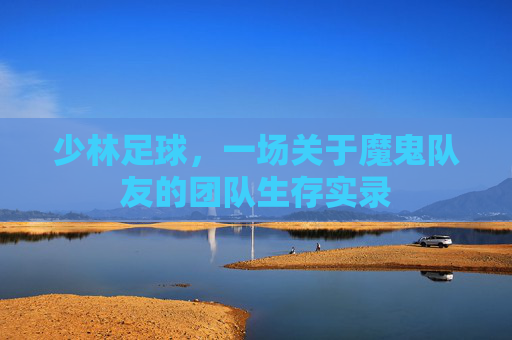 少林足球，一场关于魔鬼队友的团队生存实录