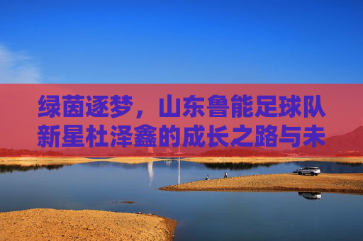 绿茵逐梦，山东鲁能足球队新星杜泽鑫的成长之路与未来展望