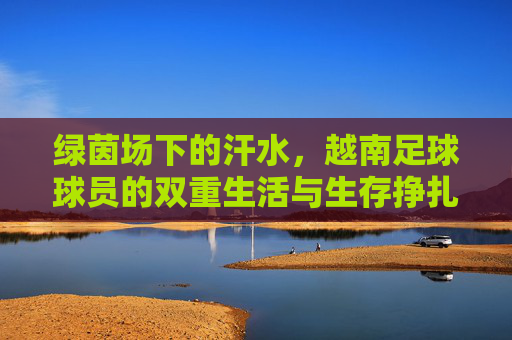 绿茵场下的汗水，越南足球球员的双重生活与生存挣扎