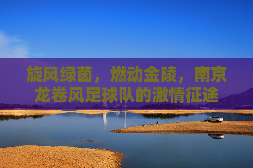 旋风绿茵,燃动金陵,南京龙卷风足球队的激情征途